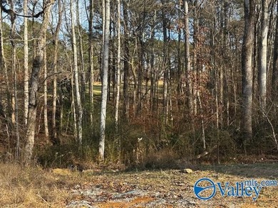Gorgeous, cleared lot with a backyard view overlooking Fairway - photo 1