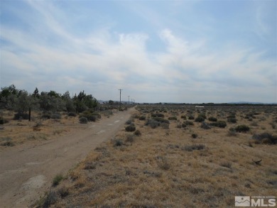 Lake Lahontan Acreage For Sale in Silver Springs Nevada