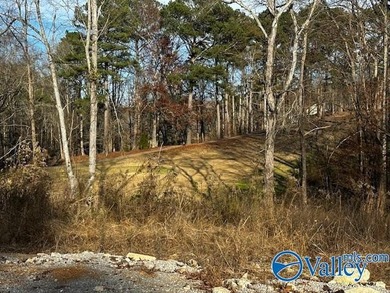 Gorgeous, cleared lot with a backyard view overlooking Fairway - photo 2