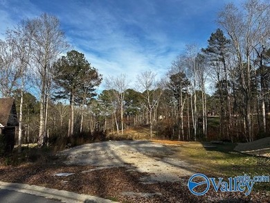 Gorgeous, cleared lot with a backyard view overlooking Fairway - photo 3
