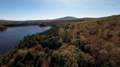 Lake Acreage For Sale in Dedham, Maine