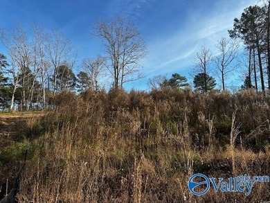 Golf Course Lot, ready to build your dream home. This gorgeous - photo 1