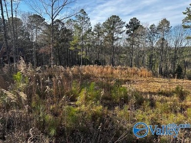 Golf Course Lot, ready to build your dream home. This gorgeous - photo 2