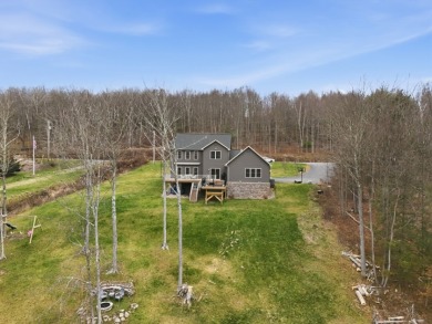734 Lakeside Drive Sayre, PA 18840
Live life on the lake - photo 22