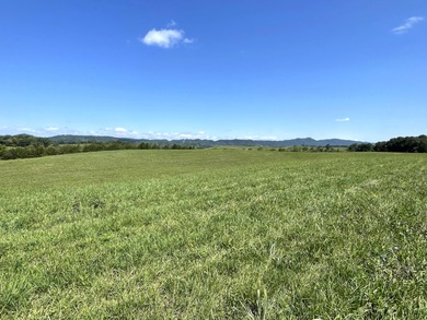 (private lake, pond, creek) Acreage For Sale in Mosheim Tennessee