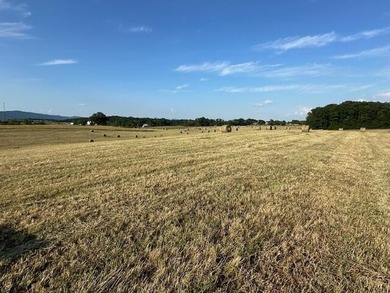 This is a beautiful 202-acre farm consisting of five tax parcels - photo 3