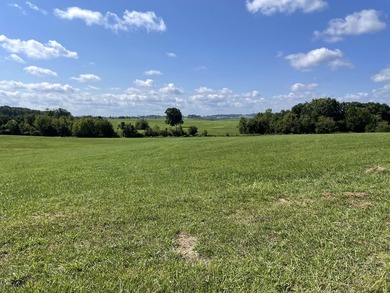 This is a beautiful 202-acre farm consisting of five tax parcels - photo 4