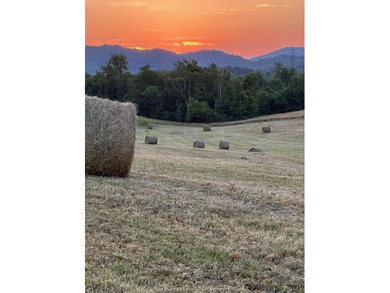 This is a beautiful 202-acre farm consisting of five tax parcels - photo 5