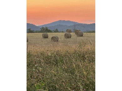 This is a beautiful 202-acre farm consisting of five tax parcels - photo 6
