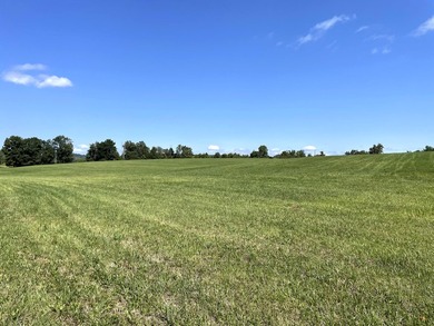 This is a beautiful 202-acre farm consisting of five tax parcels - photo 7