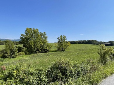 This is a beautiful 202-acre farm consisting of five tax parcels - photo 9