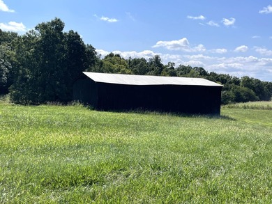 This is a beautiful 202-acre farm consisting of five tax parcels - photo 10