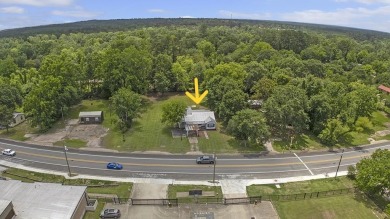 Lake Home For Sale in Zavalla, Texas