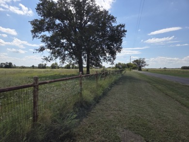 Cleared 20 ac tract ready for your country living dream retreat - photo 17