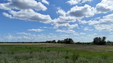 Cleared 20 ac tract ready for your country living dream retreat - photo 29