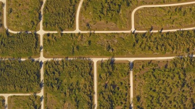 Own your piece of paradise in South Gulf Cove! This vacant lot - photo 5