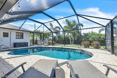 Move-in ready 3-bedroom, 2-bath pool home located in the - photo 47