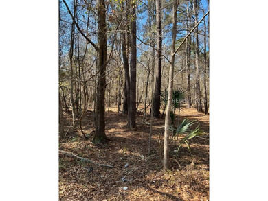5.86 acre residential lot on Old Miller road, mature trees and - photo 5
