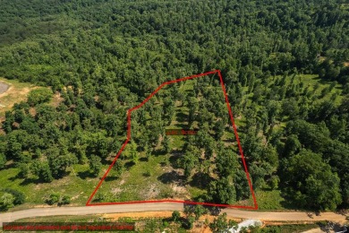 Lake Blue Ridge Acreage For Sale in Blue Ridge Georgia