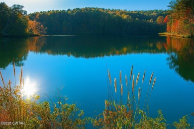 Lake Acreage For Sale in Middleton, Tennessee