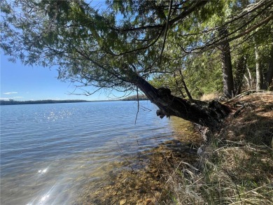 Turtle Lake - Itasca County Acreage For Sale in Marcell Twp Minnesota