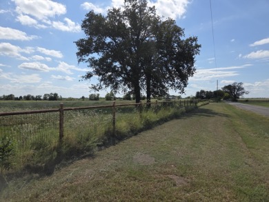 Cleared 20 ac tract ready for your country living dream retreat - photo 3