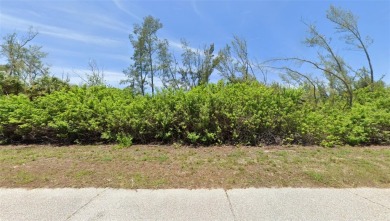 Own your piece of paradise in the growing community of South - photo 3