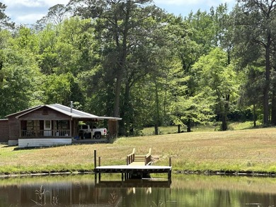 (private lake, pond, coastal) Home For Sale in Florala Alabama