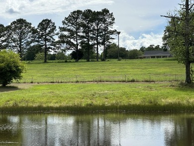143.09+/- acres spanning Florida and Alabama with a rare - photo 3