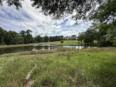 143.09+/- acres spanning Florida and Alabama with a rare - photo 4
