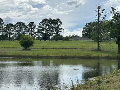 143.09+/- acres spanning Florida and Alabama with a rare - photo 5