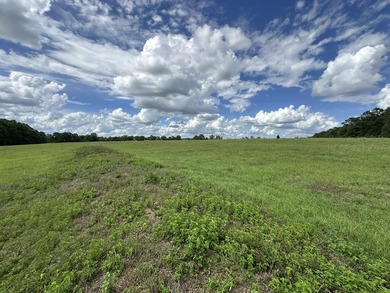 143.09+/- acres spanning Florida and Alabama with a rare - photo 6