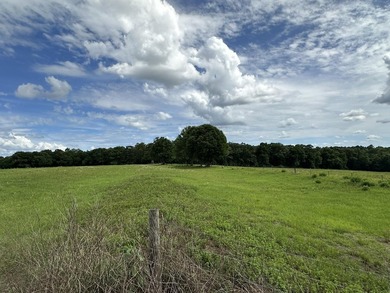 143.09+/- acres spanning Florida and Alabama with a rare - photo 7