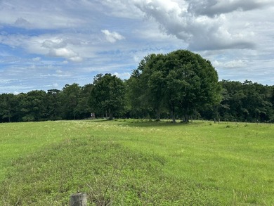 143.09+/- acres spanning Florida and Alabama with a rare - photo 9
