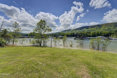 Gorgeous lakefront acreage with private dock!!! Break away from - photo 11