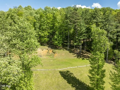 Gorgeous lakefront acreage with private dock!!! Break away from - photo 13