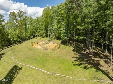 Gorgeous lakefront acreage with private dock!!! Break away from - photo 14