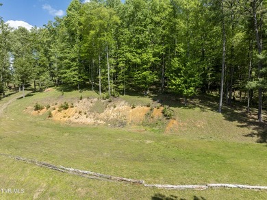 Gorgeous lakefront acreage with private dock!!! Break away from - photo 15