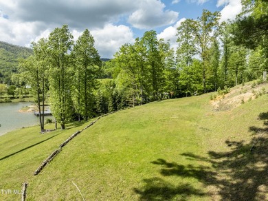 Gorgeous lakefront acreage with private dock!!! Break away from - photo 17
