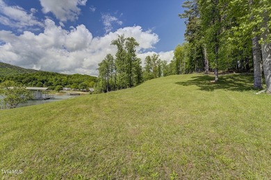 Gorgeous lakefront acreage with private dock!!! Break away from - photo 19
