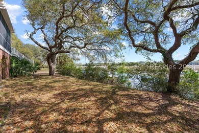 (private lake, pond, coastal) Home For Sale in Saint Helena Island South Carolina