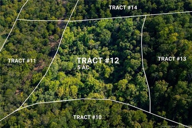 Ohio River Acreage For Sale in Patriot Indiana