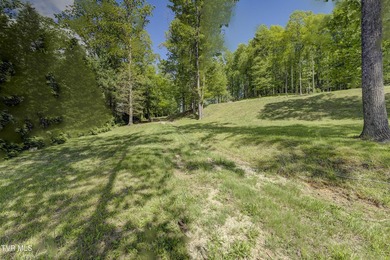 Gorgeous lakefront acreage with private dock!!! Break away from - photo 23