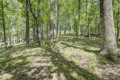 Gorgeous lakefront acreage with private dock!!! Break away from - photo 24