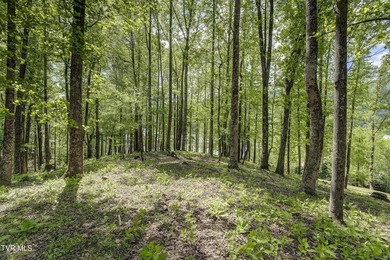Gorgeous lakefront acreage with private dock!!! Break away from - photo 25