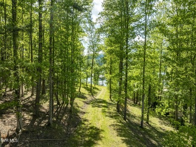 Gorgeous lakefront acreage with private dock!!! Break away from - photo 26
