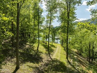 Gorgeous lakefront acreage with private dock!!! Break away from - photo 27