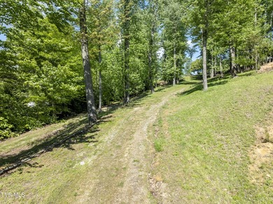 Gorgeous lakefront acreage with private dock!!! Break away from - photo 28