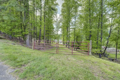 Gorgeous lakefront acreage with private dock!!! Break away from - photo 29
