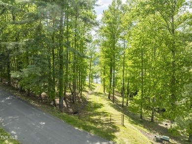 Gorgeous lakefront acreage with private dock!!! Break away from - photo 30